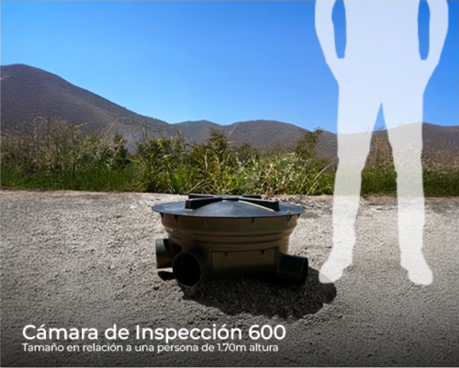 Camara de Inspección